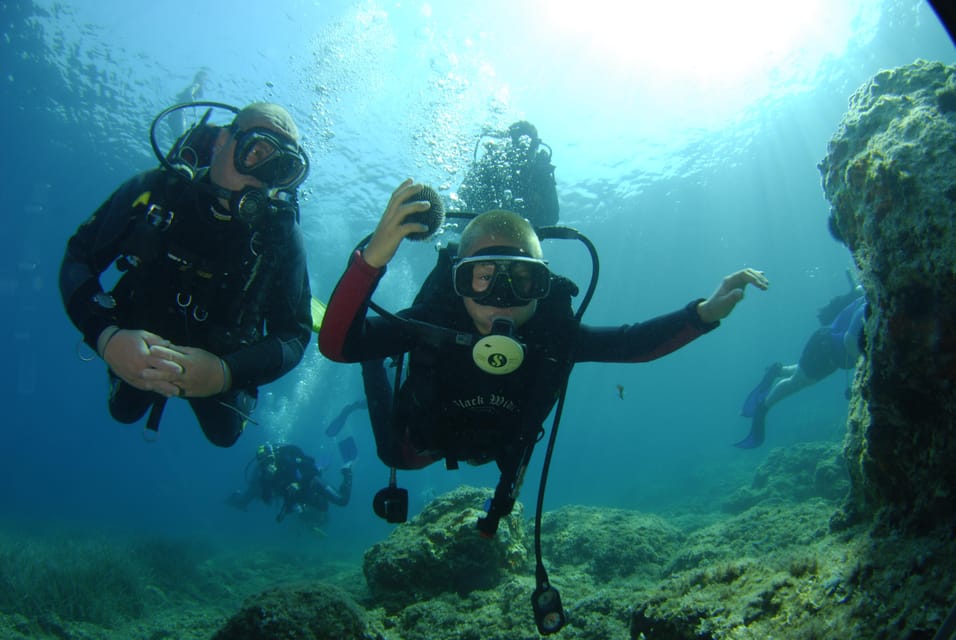 Discovery Dive - Mergulho introdutório de 2 horas para mergulhadores ...