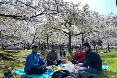 Osaka: Springtime Sakura Picnic "Hanami"