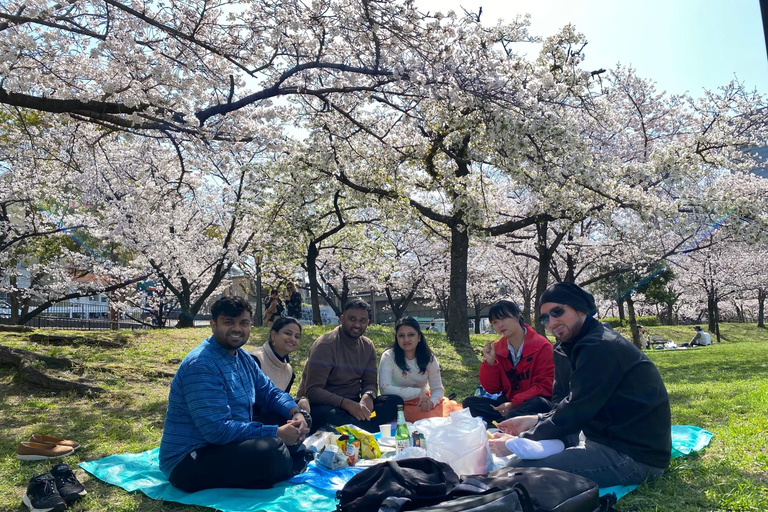 Osaka: Springtime Sakura Picnic "Hanami"