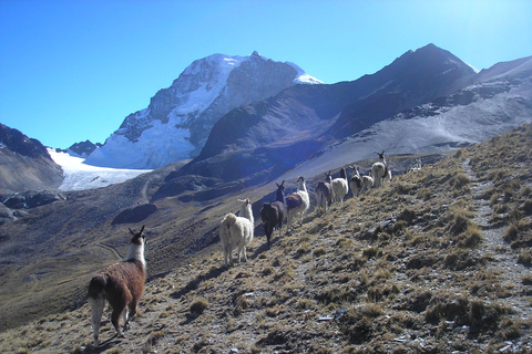 La Paz: Andes Mountains 7-Day Trek with Huayna Potosí climb