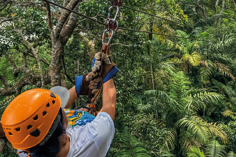 Panama City: Canopy, a 10-line adventure circuit, Gamboa