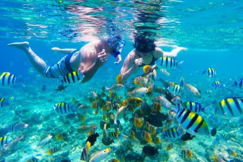 Wyspy Gili: rejs po podwodnych posągach i nurkowanie z rurką