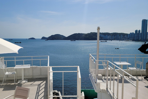 Busan Highlights Day Tour from Seoul by KTX - Capsule Ride