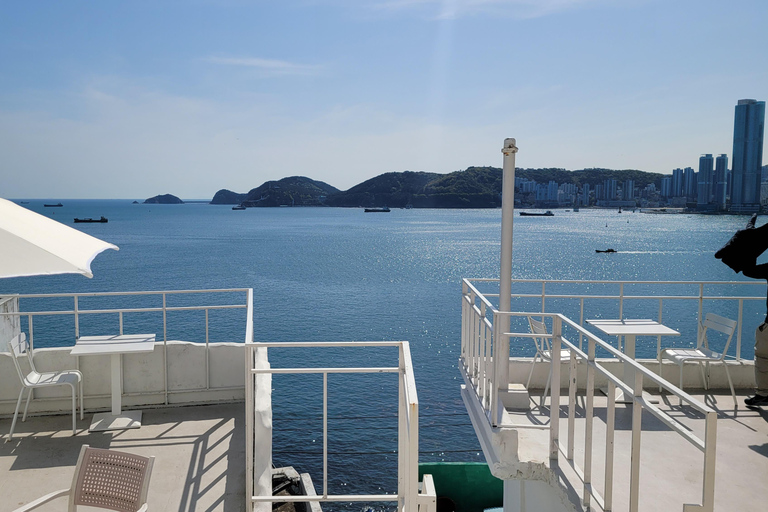 Busan Highlights Day Tour from Seoul by KTX - Capsule Ride