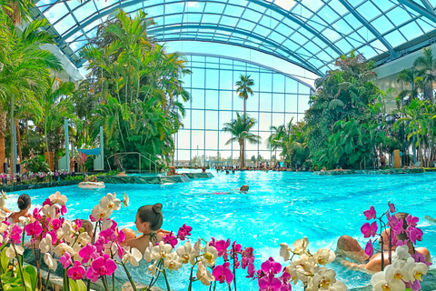 Therme Bucharest | Official Admission Ticket All Day - Galaxy+Palm+Elysium Area - Access Ticket