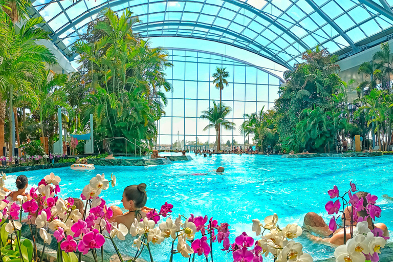 Therme Bucharest | Official Admission Ticket All Day - Galaxy+Palm+Elysium Area - Access Ticket