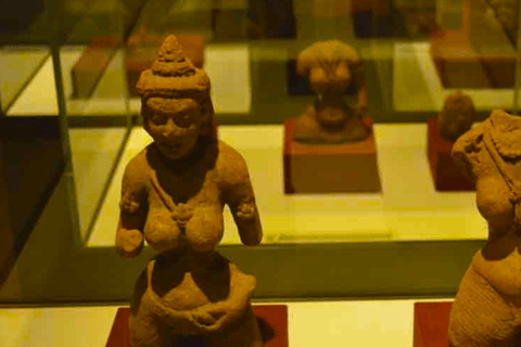 Private Guided Day Tour of Sigiriya & Dambulla