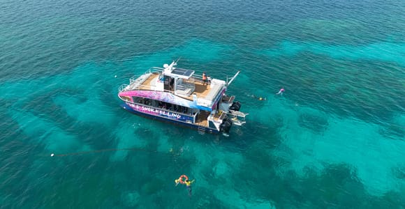 Cairns: All-Inclusive Great Barrier Reef Half-Day Snorkeling