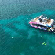 Cairns: Snorkeling de meio dia com tudo incluído na Grande Barreira de Corais