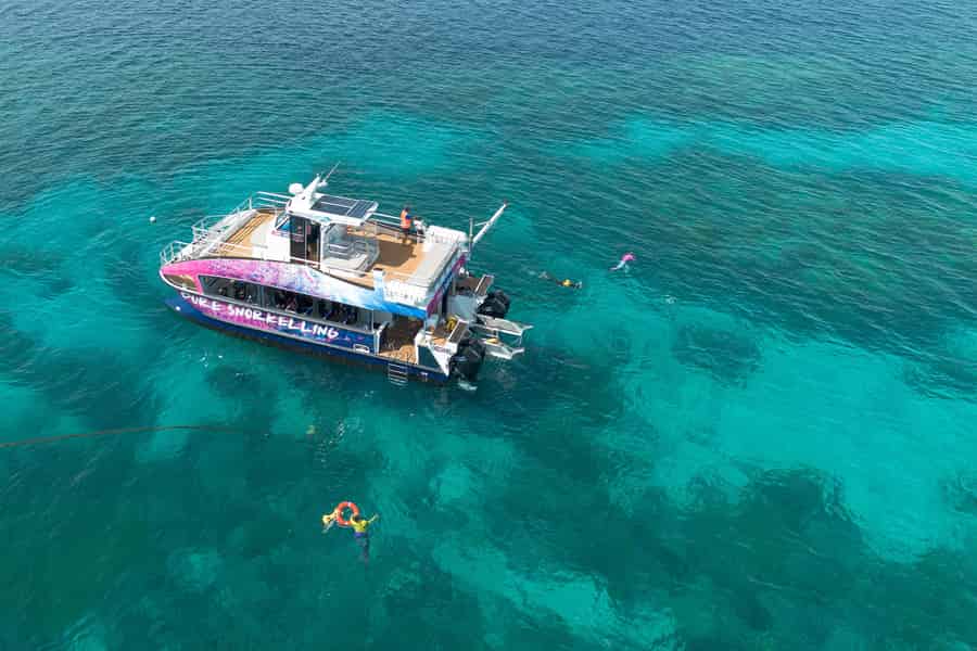 Cairns: All-inclusive-Halbtagesausflug zum Schnorcheln an der Great Barrier Reef. Foto: GetYourGuide Cairns: All-inclusive-Halbtagesausflug zum Schnorcheln an der Great Barrier Reef. Foto: GetYourGuide