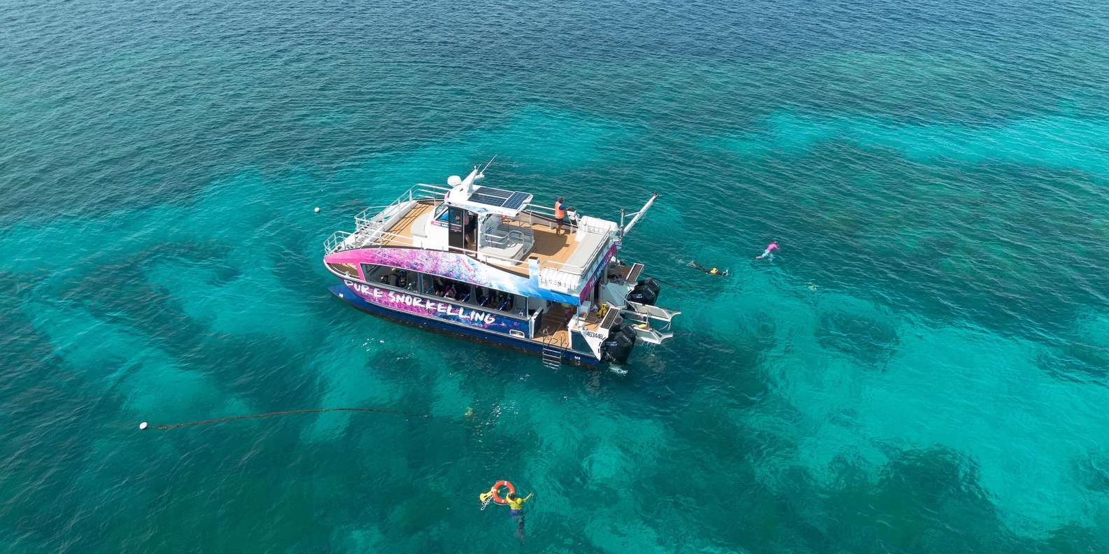 Cairns: All-Inclusive Great Barrier Reef Half-Day Snorkeling