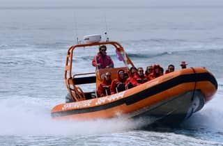 Ab Victoria: Whale Watching Tour mit dem Zodiac-Boot