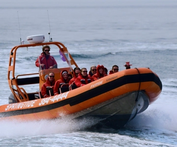 From Victoria: Whale Watching Tour by Zodiac Boat