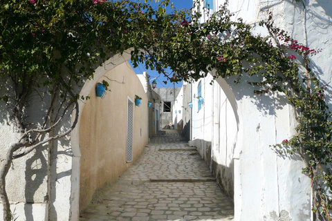 FUN DAY TOUR : Hammamet & Sidi Bou Said & Hergla/friguia