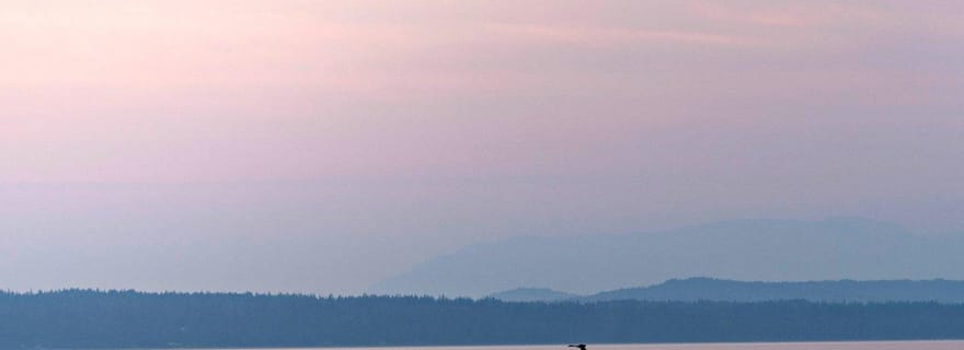Campbell River : Excursion d'observation des baleines au coucher du soleil dans la mer des Salish