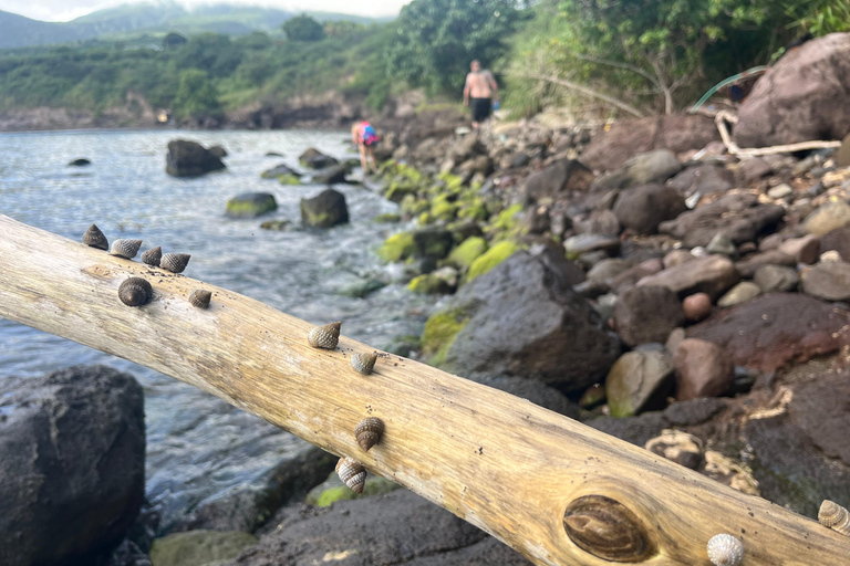 Hike St. Kitts: Sea Glass Discovery at Volcanic Beach Private Hike St. Kitts: Sea Glass Discovery Volcanic Beach