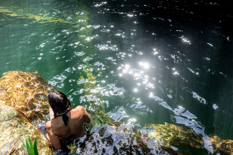 Santa Marta : randonnée dans la jungle de la Sierra Nevada avec collation