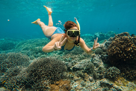 Nusa Penida: Gamat Bay & Manta Point Snorkeling Manta Point & Gamat Bay Public Snorkeling