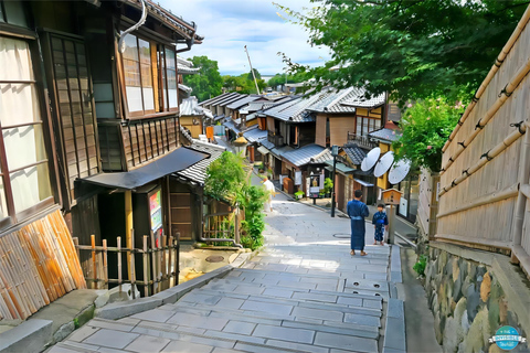 Vanuit Osaka: Dagtocht Kyoto en Nara met herten spotten