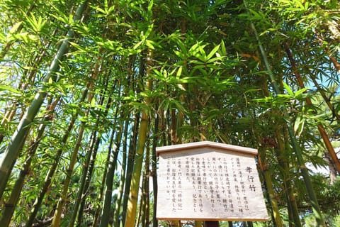 Private Shore Excursion: Hagi Castle Town & Local Shopping - Image 2