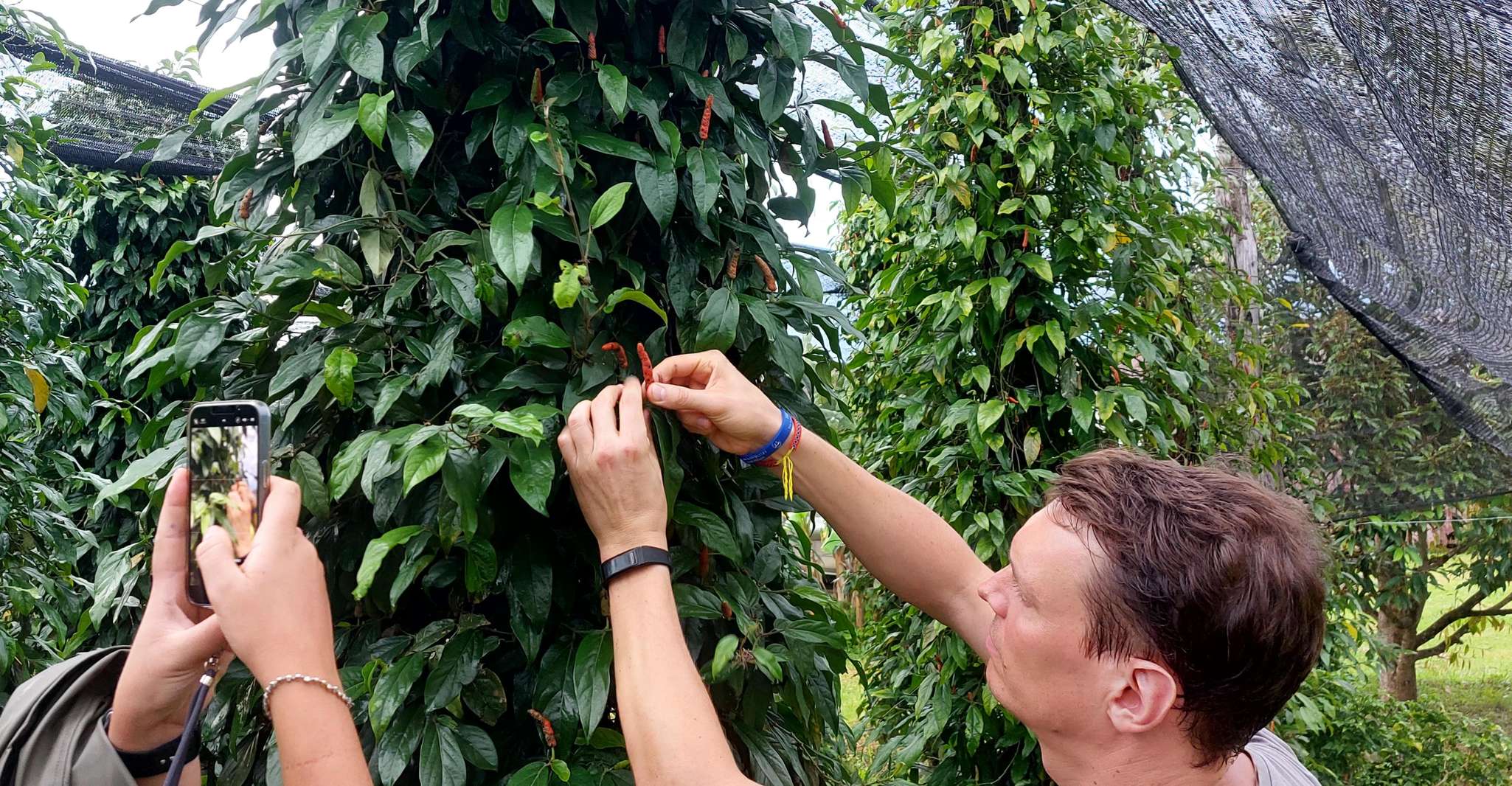 Tuktuk Service zum Pepper Farm und Secret Lake - Housity