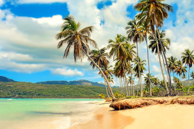 بربادوس: جولة في الجزيرة مع الكهف والقرود وركوب قارب