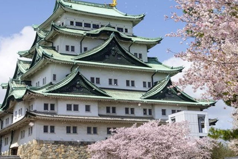 Nagoya 6hr Private Tour with Government-Licensed Guide