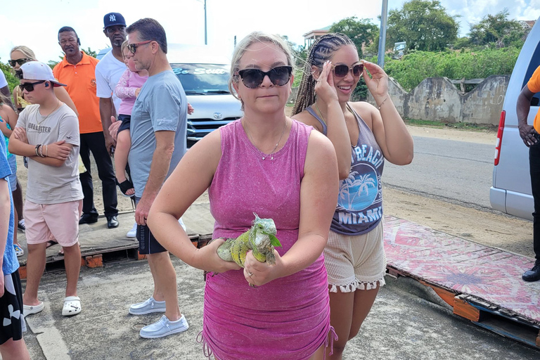 St.Maarten: Beach and Shopping Guided Tour by Bus