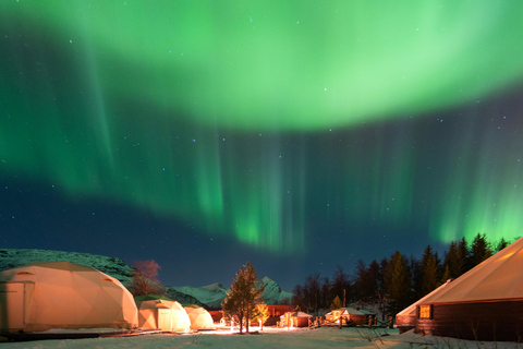 Vanuit Tromsø: Avond sneeuwscootertocht in Camp Tamok