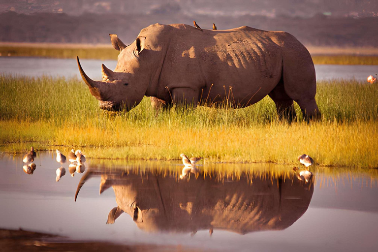 2 days safari Tarangire &Ngorongoro crater (private/joining) 2 days safari Tarangire &Ngorongoro crater (joining-camping)