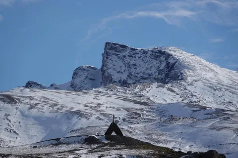 De Granada: Safari na Serra Nevada a 2500 metros de altitude