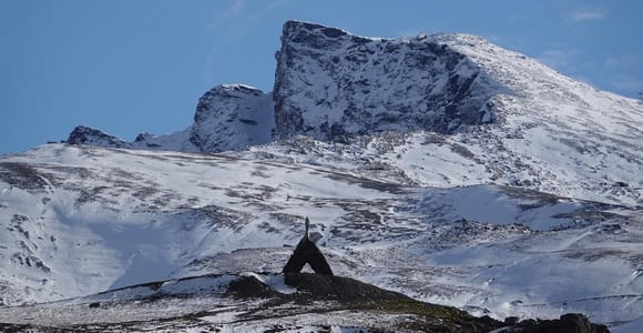 Von Granada aus: Sierra Nevada Safari bis zu einer Höhe von 2500 Metern