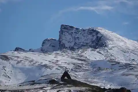Fra Granada: Sierra Nevada Safari Tour til 2500 meters højde