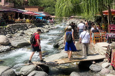 From Marrakech: Ourika Valley Atlas Mountains Day Trip with Lunch Option 3: Shared Group Transport and Local Guide