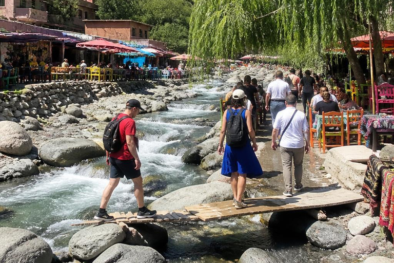From Marrakech: Ourika Valley Atlas Mountains Day Trip with Lunch Option 3: Shared Group Transport and Local Guide