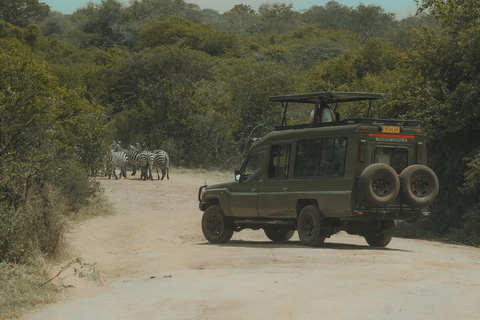 Kigali: 7-Day Safari, Wildlife Immersion, Big 5 to Gorillas