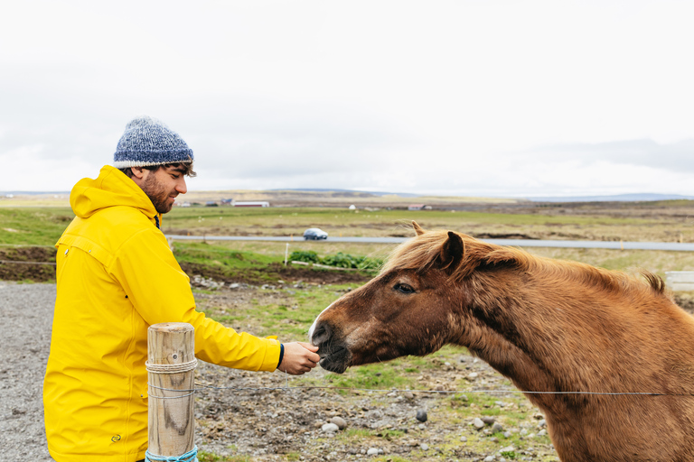 De Reykjavik: Excursão ao Círculo Dourado e à Lagoa Azul com bebidas