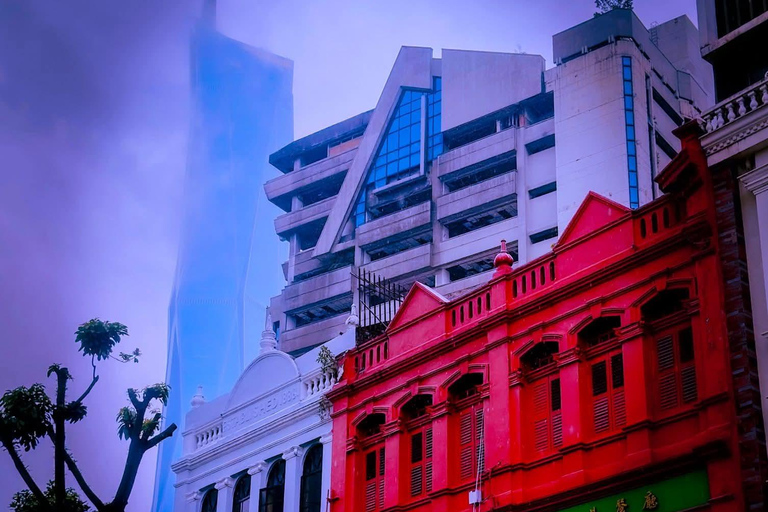 Kuala Lumpur: Private Layover or Cruise City Tour