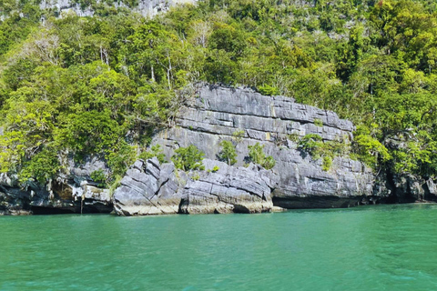Langkawi: Kilim Geoforest Mangrove 2-Hour Jetski Tour Single Rider Jet Ski Option