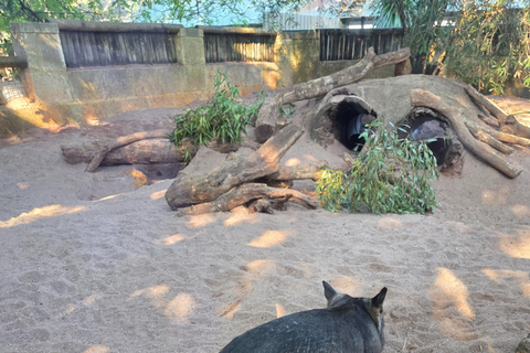 Perth: Caversham Wildlife Park & Swan Valley Tour