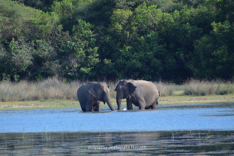 Sri Lanka e-Travels and Tours: Solução de transporte confiável