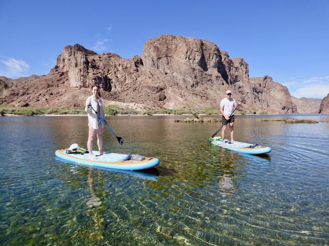 Willow Beach: Paddle Board Rental
