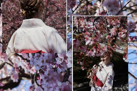 Asakusa: Private Photo Walk & Photoshoot
