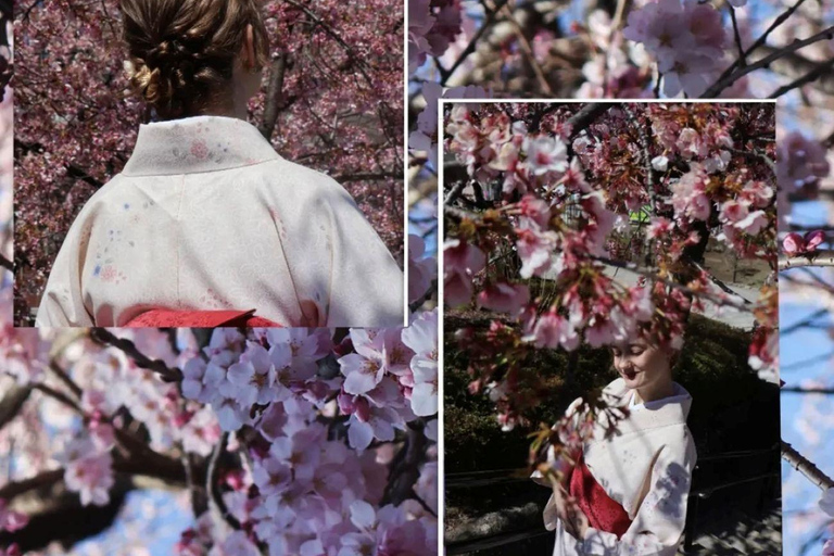 Asakusa: Private Photo Walk & Photoshoot