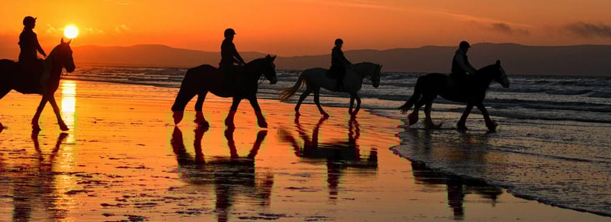 Playa Conchal : Randonnée à cheval - Visite privée au coucher du soleil pour tous
