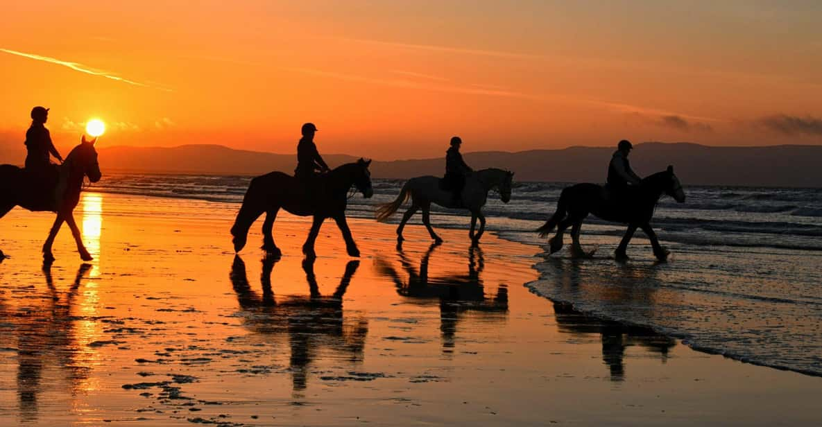 Horseback Riding Adventure to Conchal Beach logo