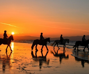 Playa Conchal: equitazione - tour privato al tramonto per tutti