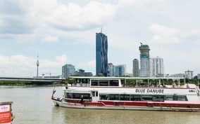 Vienna: Danube Panorama Tour with Optional Lunch