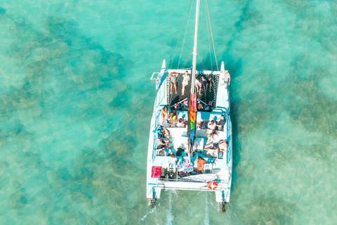 Excursion en catamaran à Dakhla