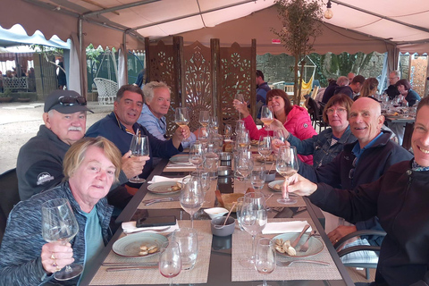 DOURO VALLEY: Premium Wine Tour, Cruise & Winery´s Lunch Shared Group Tour with Hotel Pick-up and Drop-Off